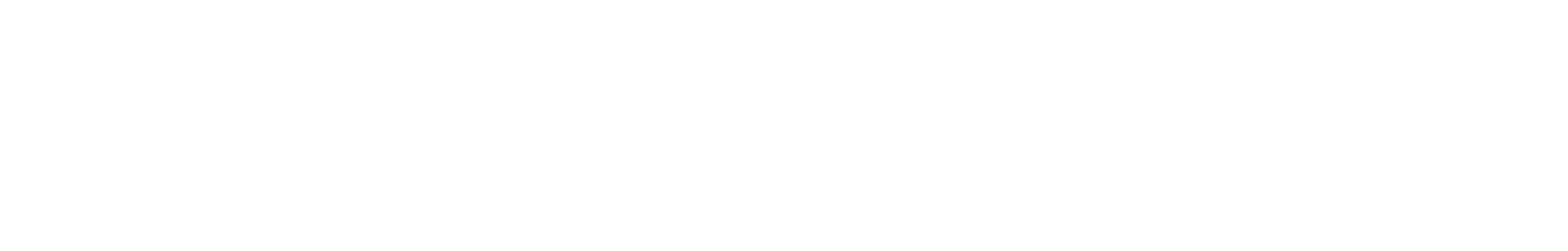 Cybertronica
